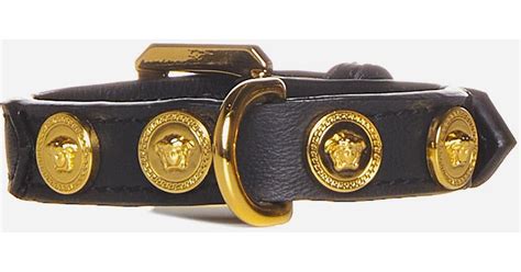 versace dog leash|Shop Versace Medusa Dog Collar .